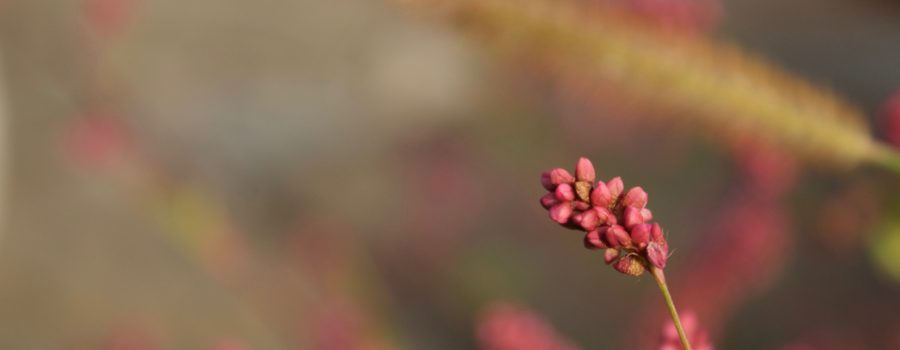 Study Shows Acupuncture is Effective at Treating Menopause